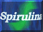 Spirulina spirulina
